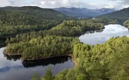 Scottish MSPs Approve Greyhound Race Ban, School Restraint Limits, and Nature Bill