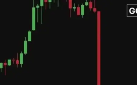 Global Shock as $6 Trillion Vanishes in 30 Minutes