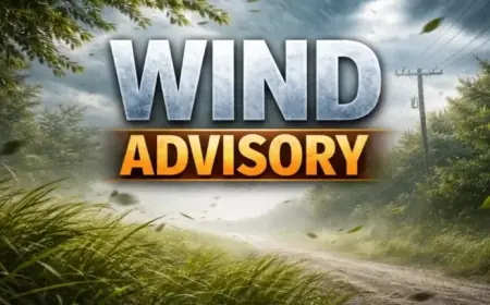 Wiregrass Region Braces for Strong Sunday Winds