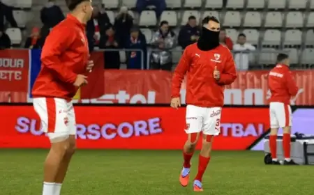 Dinamo vs. Petrolul: Superliga Round 24 Live Match