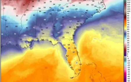 Polar vortex forecast signals another deep freeze for the East into mid-February