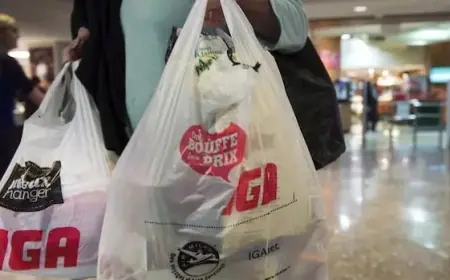 Appeals Court Upholds Ottawa’s Toxic Plastic Classification