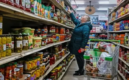 Rising Prices Impact Companies and Consumers Alike