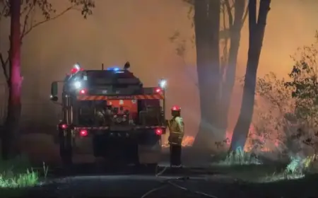 Oyster Cove Bushfire Near Medowie Remains at Advice Level