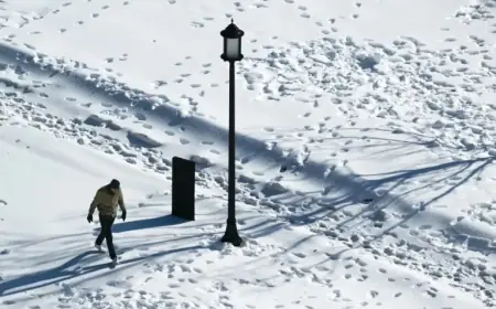 Bomb Cyclone Brings Severe Cold and Winds to D.C.