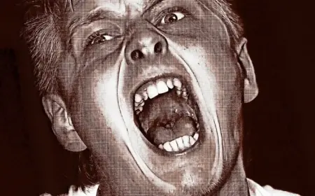 Bitcoin Crash Sparks a Meltdown Among Cryptocurrency Enthusiasts