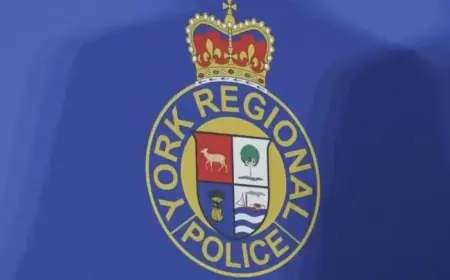 York Police Investigate Alleged Officer Assault on Lawyer at Oshawa Courthouse