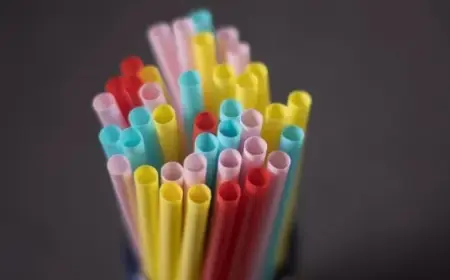 Federal Court Upholds Ottawa’s Ban on Single-Use Plastics