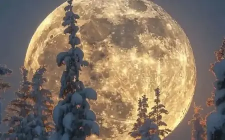 February 2026 Snow Moon: 4 Zodiac Signs Most Affected