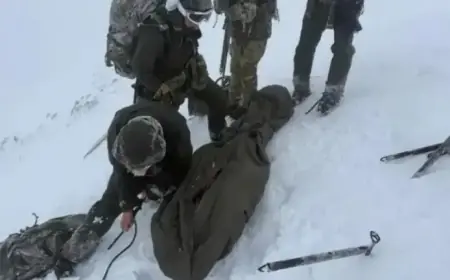 Royal and Dutch Marines Save Climber on Ben Nevis