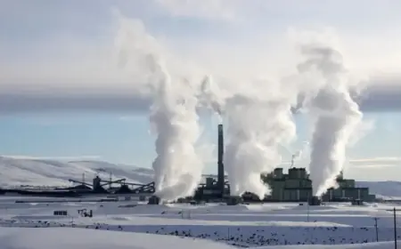 Craig Power Urges Federal Government to Allow Coal Plant Closure