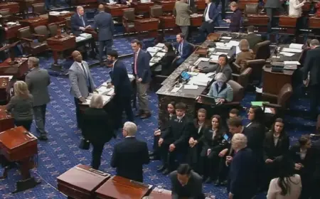 Senate Approves Spending Package, Yet Funding Lapse Remains Inevitable