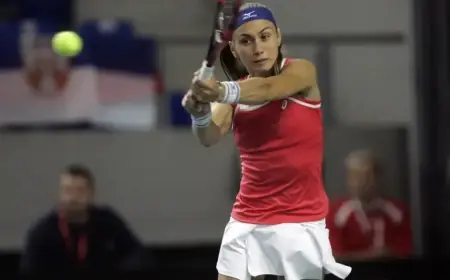 Serbian Tennis History Unfolds in Melbourne: Final Trophy Awaits, Djokovic Absent!