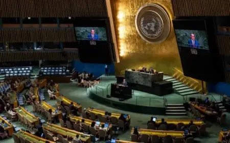 U.N. Faces Financial Crisis Due to Unpaid Member Dues