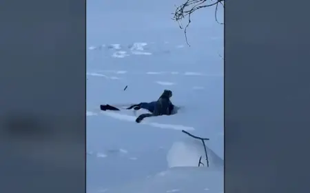 Snow Leopard Attacks Tourist Attempting Photo in China