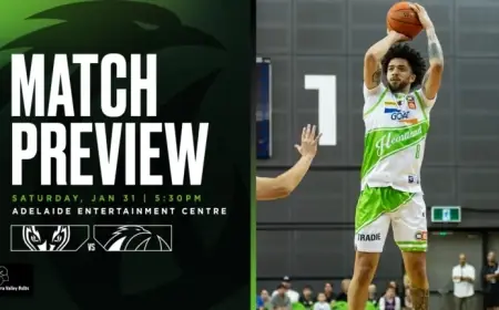 Phoenix Set to Regroup in Critical Adelaide Clash with Drewitt’s Bulbs