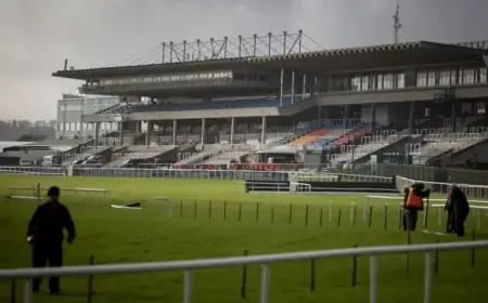 Sandown Grade 1 Event Cleared for Saturday; More Rain Expected at Leopardstown