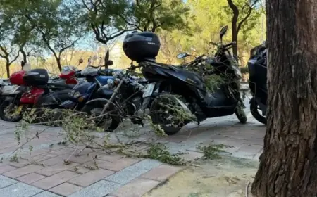 Wind Sweeps Murcia with Gusts Reaching 91 km/h