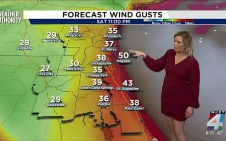 Jacksonville Prepares for Arctic Blast: Extreme Cold and Freeze Warnings Announced