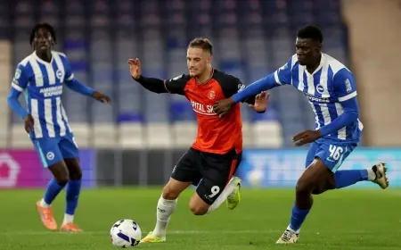 Watch Sheffield Wednesday vs Wrexham: Live Stream, TV Channel, Start Time