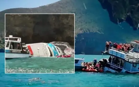 Witnesses Sought After Black Cat Ferry Grounds in Akaroa Harbour