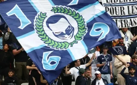 Paris FC Supporters Question: How Many Divisions for Ligue 1?