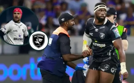 Siya Kolisi Leads Springbok Stars Back to Sharks for Stormers Clash
