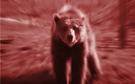 Copper Prices Rebound Amidst Friday Mining Stock Slump