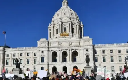Minnesota Senate Examines ICE Violence Testimonies in Twin Cities