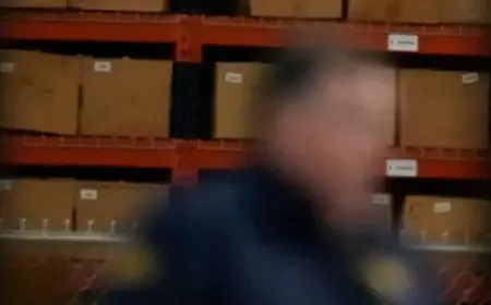 Democratic Officials Brace for Trump Impact in Midterm Elections