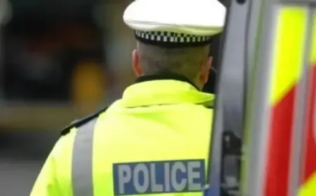 Uninsured Lorry Driver Trapped Under Swindon Bridge