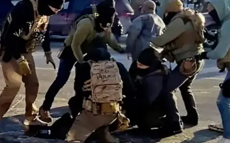 Agents Pursue Immigrant, Kill Alex Pretti: His Story Unveiled