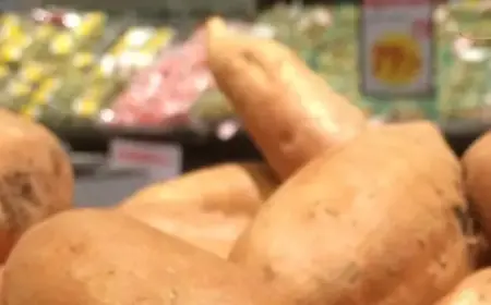 Edmonton Councillor Urges Review of Covenants to Combat Food Deserts