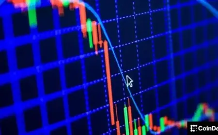 Bitcoin Falls Below $81,000: What’s Next for BTC Prices?