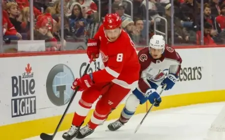 How to Watch Red Wings vs. Avalanche on National TV Today