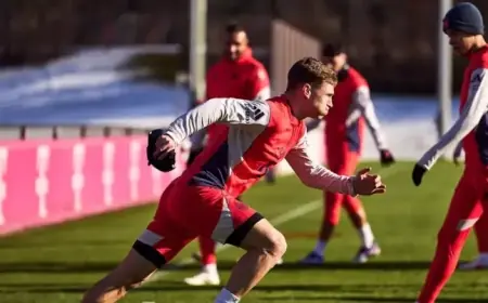 Hamburg Faces Bayern in Bundesliga Matchday 20 Showdown