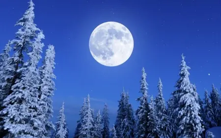 Full moon February 2026 Snow Moon peaks Feb. 1, lighting up winter skies