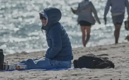 Florida Prepares for Frost Amid U.S. Winter Storm Impact