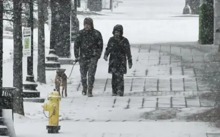 Winter Storms Target South: Millions Brace for Intense Cold Alerts