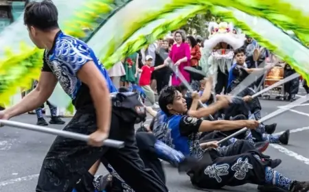 Illuminating the Lunar New Year Celebrations