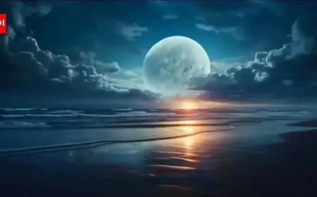 2026 Full Moon in Cancer: 14-Day Horoscope Insights