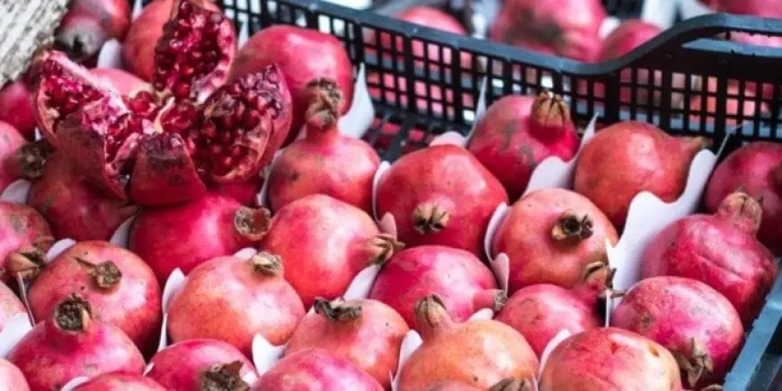 نجاح وزارة الزراعة في فتح سوق جمهورية الدومينكان للموالح والرمان المصري