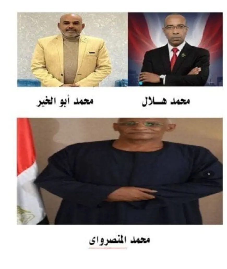 المنصراوي وهلال وأبو الخير يظفرون بمقاعد دوائر أسوان في جولة الإعادة الحاسمة