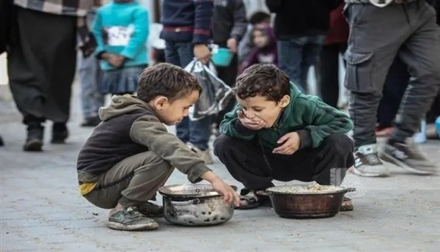 ألمانيا تواصل تقديم المساعدات الإنسانية للوضع الصعب في قطاع غزة