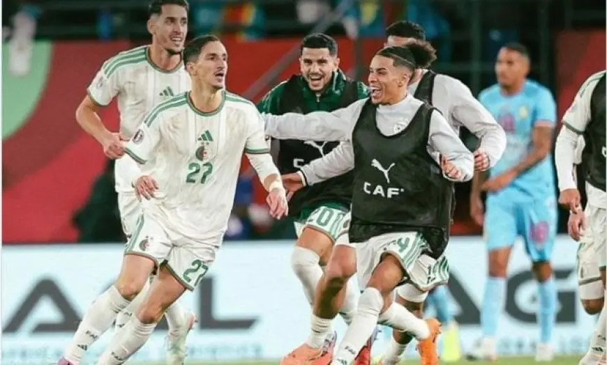 توقيت مواجهة الجزائر ونيجيريا في ربع نهائي كأس الأمم الإفريقية