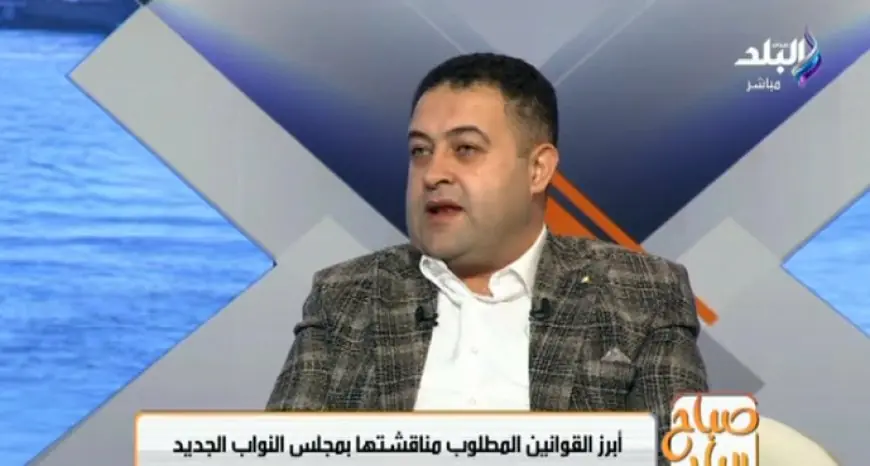 أستاذ قانون يدعو لتأجيل قانون المحليات: الوقت غير ملائم للتطبيق