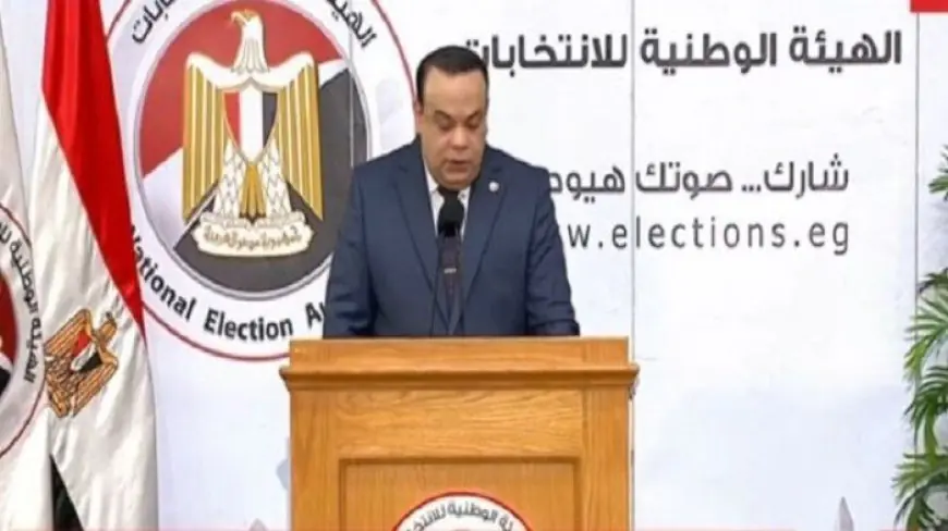 النتائج النهائية لجولة الإعادة في دوائر المنيا الملغاة بانتخابات مجلس النواب 2025