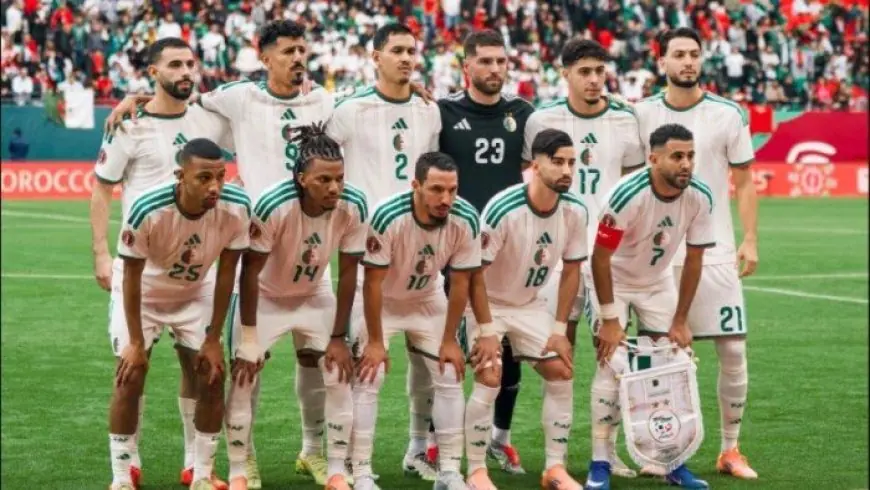 تاريخ مباريات الجزائر ونيجيريا: كل ما تحتاج معرفته قبل مباراة ربع نهائي أمم إفريقيا المرتقبة