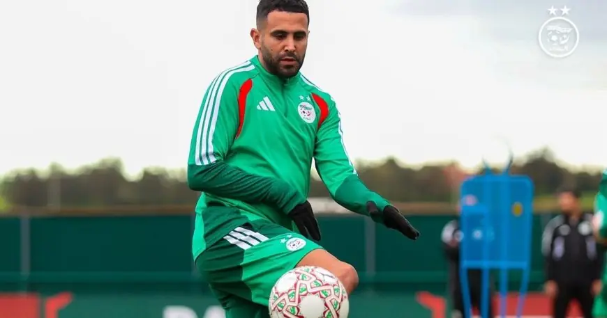 التشكيلة المتوقعة للجزائر في مواجهة نيجيريا بربع نهائي كأس الأمم الأفريقية