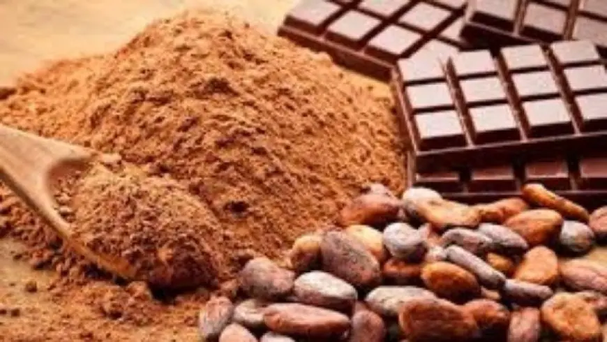 انخفاض رهيب في أسعار الكاكاو مع تزايد ضغوط البيع المكثف